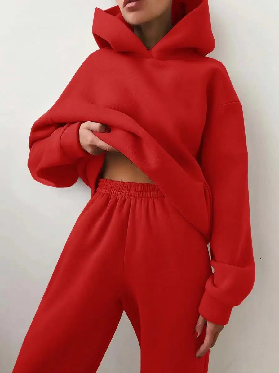 Conjunto Moletom Feminino De Frio - Loja Luniva